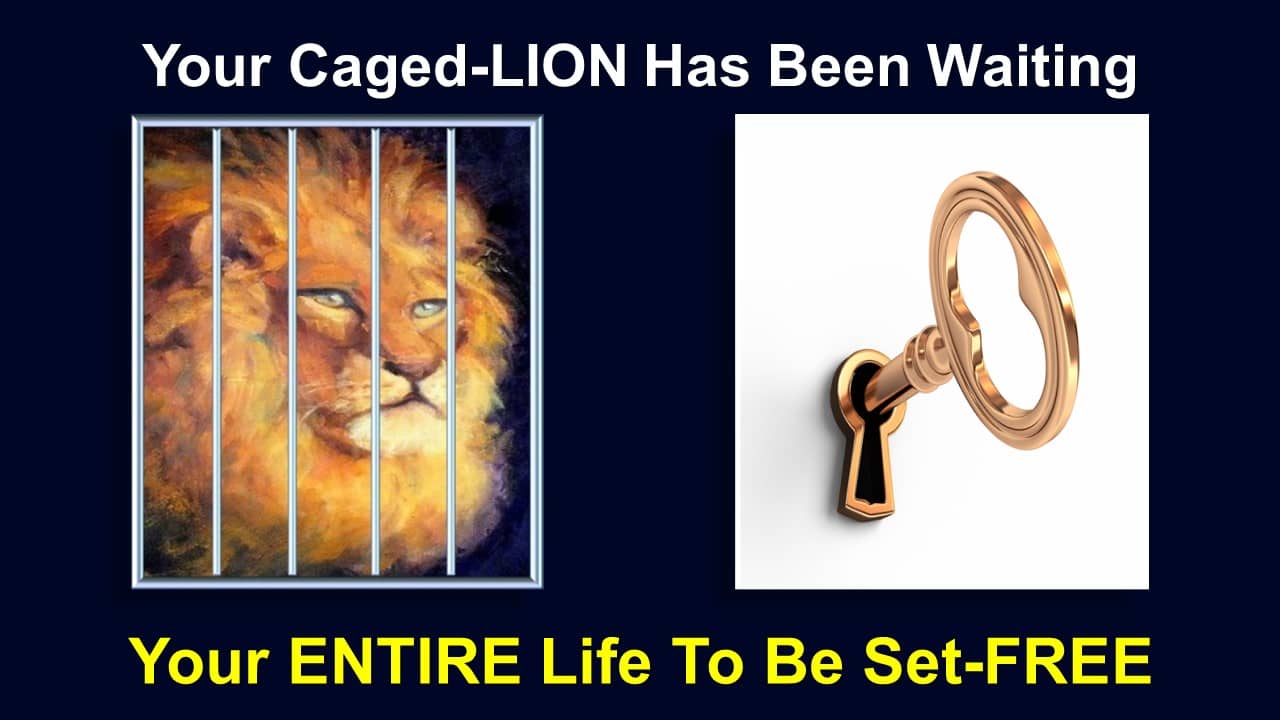 0004 C Caged LION