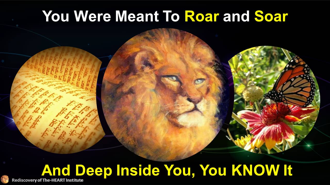 roar and soar